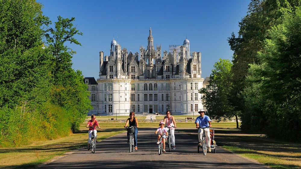 Loire Velo 3 Appartements Moderne Velo Parking 20 Places Velos Centre Ville Historique ブロワ エクステリア 写真